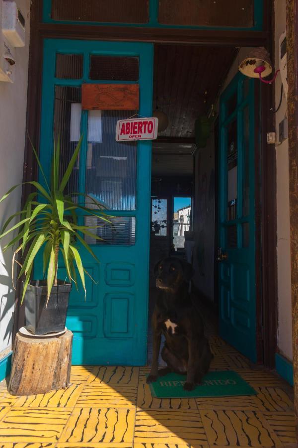 Bichon La Casa Hostal Pichilemu Exterior foto